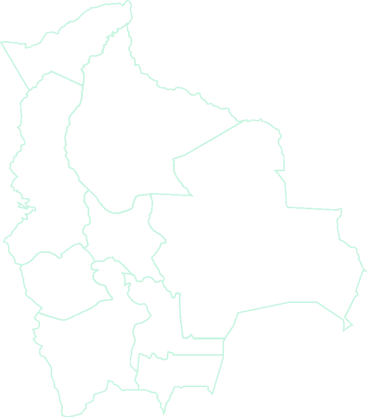 Mapa de Bolivia por departamentos