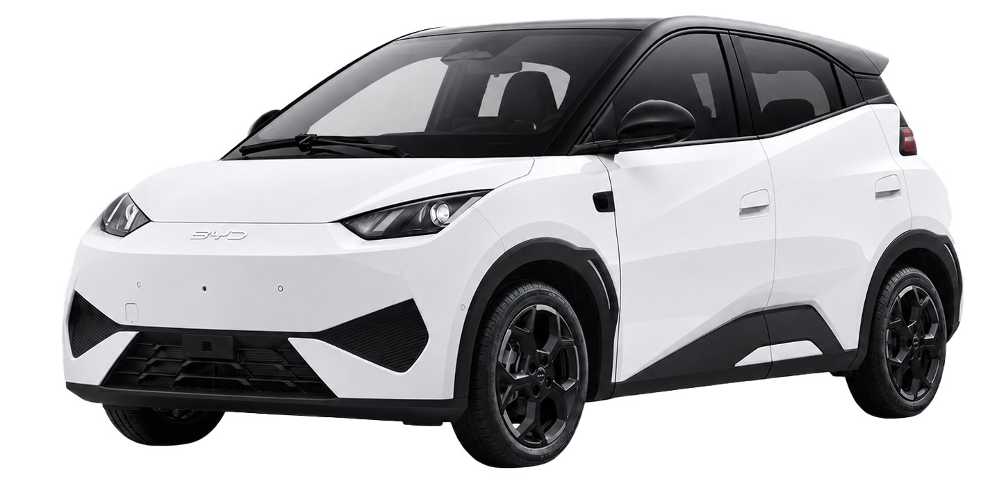 BYD Seagull 2025 305KM Smart Driving Vitality Edition