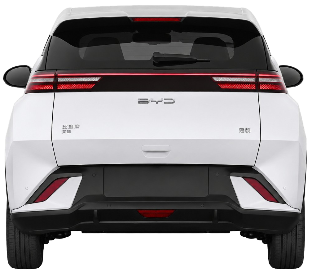 BYD Seagull 2025 305KM Smart Driving Vitality Edition